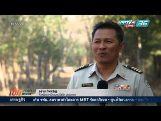 เข้มข่าวค่ำ - เร่งดับไฟป่า "เขาฝาละมี" จ.นครนายก