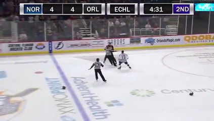 ECHL Norfolk Admirals 4 at Orlando Solar Bears 5