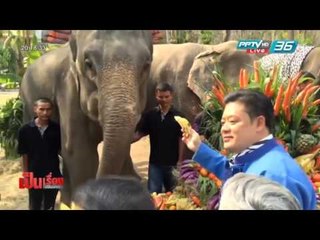 เป็นเรื่อง เป็นข่าว - ฝึกช้างเด็กแสนรู้เตรียมตักบาตร "วันช้างไทย"
