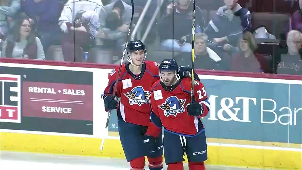 Springfield Thunderbirds 4 at Hershey Bears 2