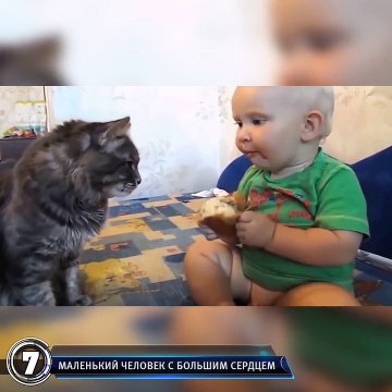 Best Video Лучшее Недели