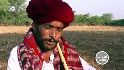 حليب الجمال اللذيذ