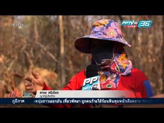 เข้มข่าวค่ำ - สำรวจพื้นที่จุดเผานั่งยาง จ.อุดรธานี