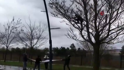 Ağaçta mahsur kalan kediyi çarşafla kurtardılar