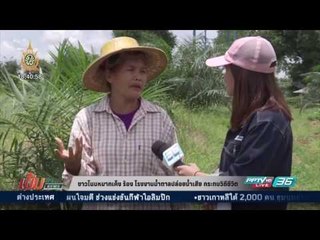 ชาวโนนหมากเค็ง ร้อง โรงงานน้ำตาลปล่อยน้ำเสีย กระทบวิถีชีวิต - เข้มข่าวค่ำ