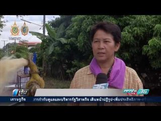 น้ำท่วม อ.เวียงสา จ.น่าน พื้นที่เกษตรเสียหาย 1,600 ไร่ - เข้มข่าวค่ำ