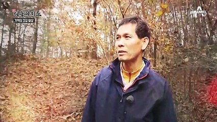 약초 박사, 산에서 찾은 귀한 보물은?