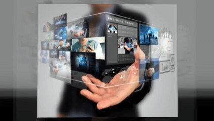 Webdirexion WordPress Support & Business Growth Plans