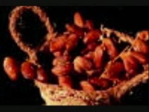 ALGERIE WILAYA BISKRA