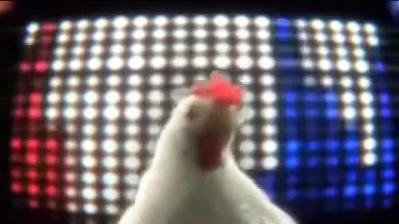 çok komik Tavuk şarkısı