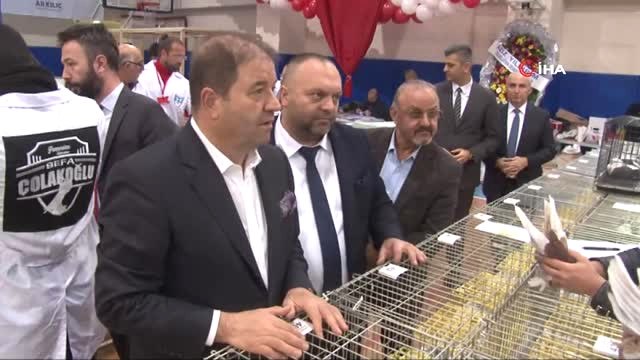 Dünyanın Dört Bir Yanından Getirilen Binlerce Güvercin Birincilik İçin Yarıştı