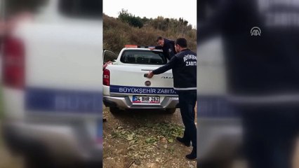 Pazarda satılan 120 saka kuşu, el konularak doğal ortamlarına bırakıldı - ADANA