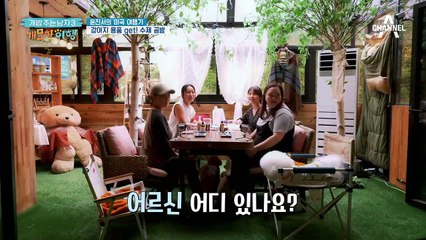 반려견 2마리와 미국 여행 괜찮을까..? (feat. 에너자이저 뭉치)