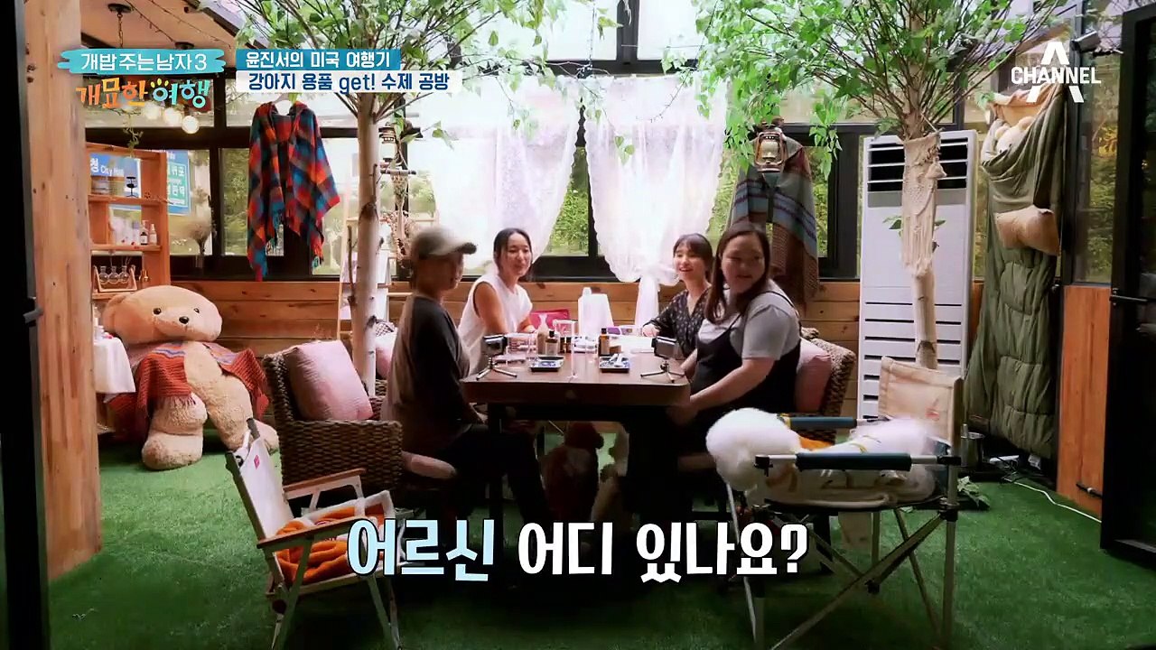 반려견 2마리와 미국 여행 괜찮을까..? (feat. 에너자이저 뭉치)
