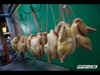 ตรุษจีนไหว้ด้วย “ไก่” แฝงนัยยะอะไรหนอ ?