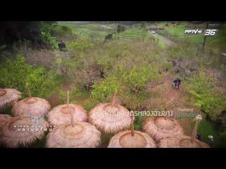 มองมุมใหม่ Bird's Eye View EP.138 โครงการในพระราชดำริ อ่างขาง (2/3)