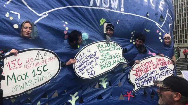 Marche pour le climat à Bruxelles