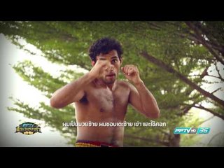 แนะนำนักชก ดีเอโก้ - PPTV ศึกนวมทองคำ | 4 มี.ค. 60