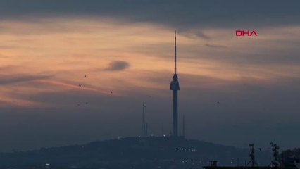 İstanbul- İstanbul'da Kış Güneşi ve Kuşlar...