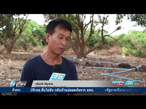 ผลผลิตเสียหาย 16 ปี เตรียมฟ้องโรงงานรีไซเคิล ราชบุรี 500 ล้าน - เที่ยงทันข่าว