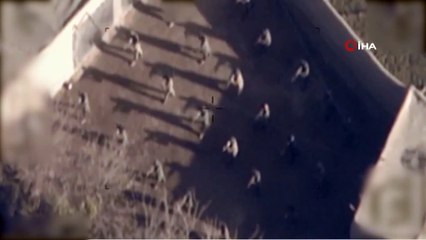 -  Afganistan’da Üst Düzey Taliban Yetkilisi Öldürüldü