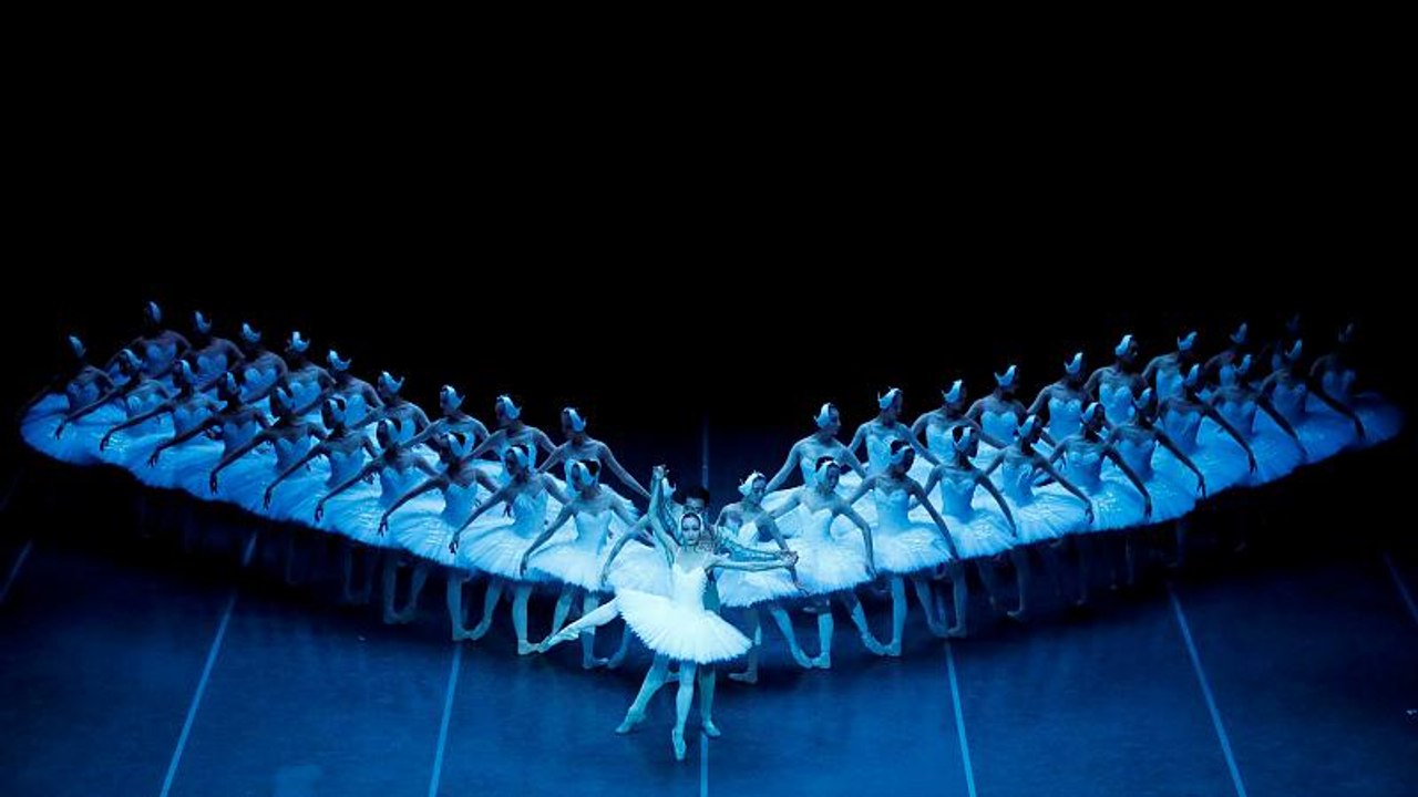 Extragroßer 'Schwanensee' in Berlin zu sehen