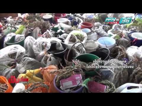 เป็นเรื่อง เป็นข่าว - เชิญเกจิอาจารย์ดัง ทำพิธีไล่ ผีปอบ