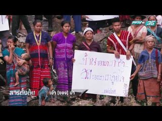 เจ้า [ของ] ป่า - สารตั้งต้น (2/2)