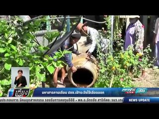 มหาสารคามเตือน ปชช.เฝ้าระวังไข้เลือดออก - เที่ยงทันข่าว