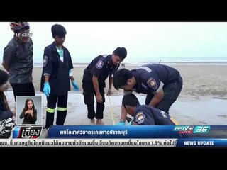 พบโลมาหัวบาตรเกยหาดปราณบุรี - เที่ยงทันข่าว