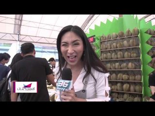 เทศกาลทุเรียน THAILAND AMAZING DURIAN & FRUIT FEST 2017 | บันเทิงเดลี่ ซอกแซกเข้าซอย