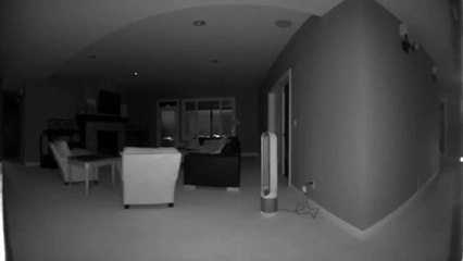 Séisme : ce chat est affolé dans la maison en Alaska !