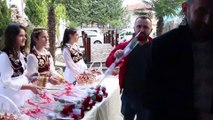 Tiran'da Mevlid-i Nebi Haftası etkinliği - ARNAVUTLUK
