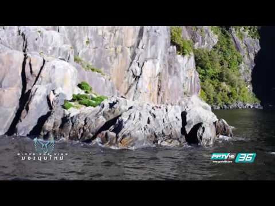 Bird's Eye View - Milford Sound ความยิ่งใหญ่อลังการของธรรมชาติ (2/3)