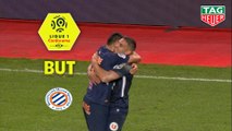 But Gaëtan LABORDE (81ème) / AS Monaco - Montpellier Hérault SC - (1-2) - (ASM-MHSC) / 2018-19