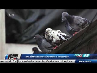 กทม.เข้าทำความสะอาดบ้านนกพิราบ พ่นยาฆ่าเชื้อ - เที่ยงทันข่าว
