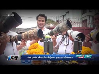 บุษบา หาเรื่องมาเป็นข่าว : "Siam Species มหัศจรรย์สายพันธุ์สยาม" สุดยอดสารคดีทาง PPTV  - เข้มข่าวค่ำ