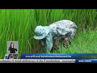 ชาว อ.เสาไห้ สระบุรี ปักดำกล้าแปลงนาเป็นอักษรเลขเก้าไทย - เที่ยงทันข่าว
