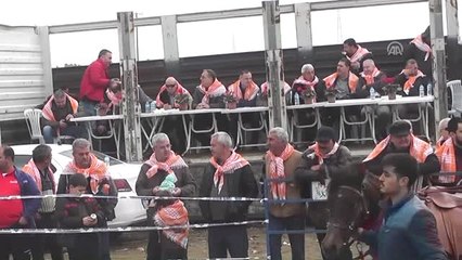 Bayındır'da Rahvan At Yarışları Yapıldı