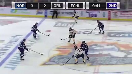 ECHL Norfolk Admirals 4 at Orlando Solar Bears 2