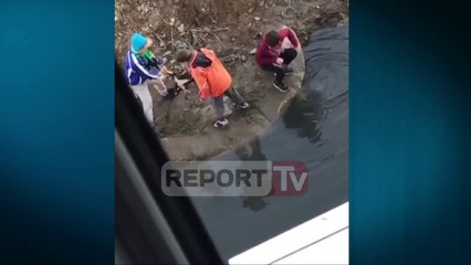 PAMJE TË RËNDA/ Tre të rinj në Lezhë torturojnë dhe hedhin në ujë një qen, kafsha përpëlitet