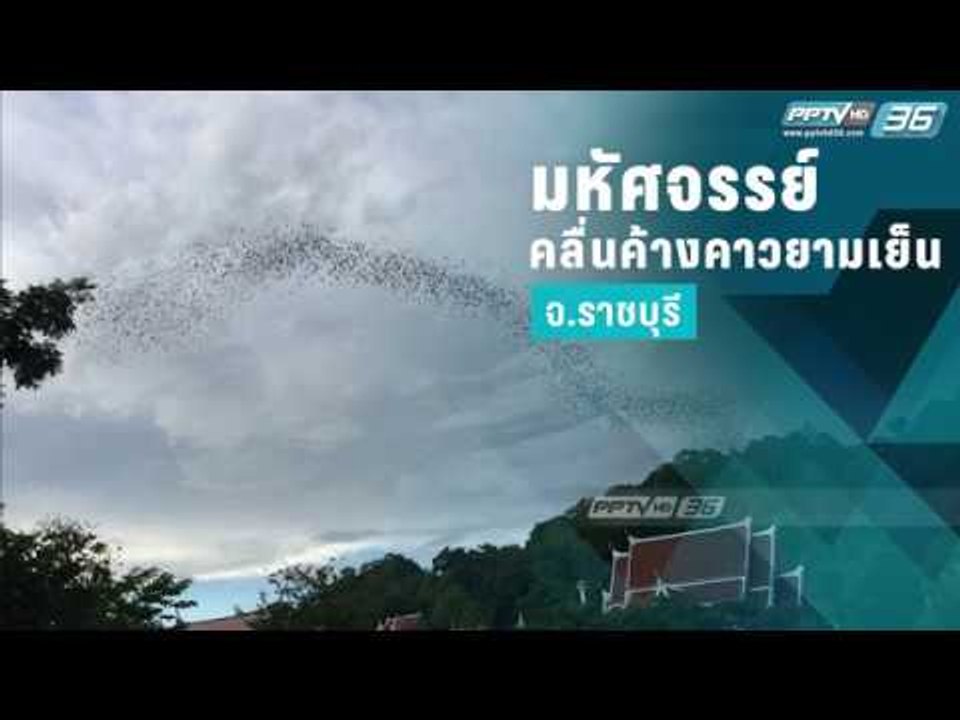 มหัศจรรย์ คลื่นค้างคาวยามเย็น จ.ราชบุรี