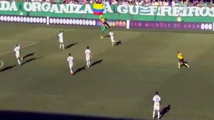 ⚽️ GOL de Leandro Pereira   Chapecoense 1x0 São Paulo