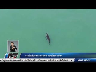 จรเข้แน่นอน ดร.ธรณ์ยัน-แนะเร่งสืบหาที่มา - เที่ยงทันข่าว