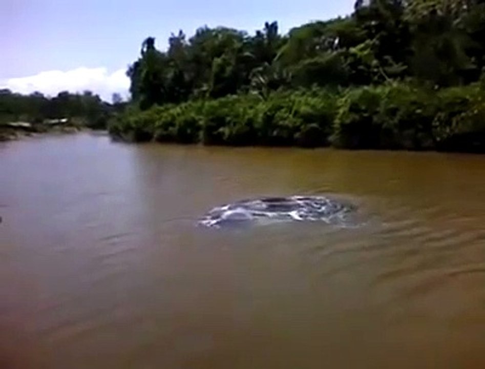 Mais qu'est-ce qui peut bien provoquer ces remous dans cette rivière du brésil? Mysterieux