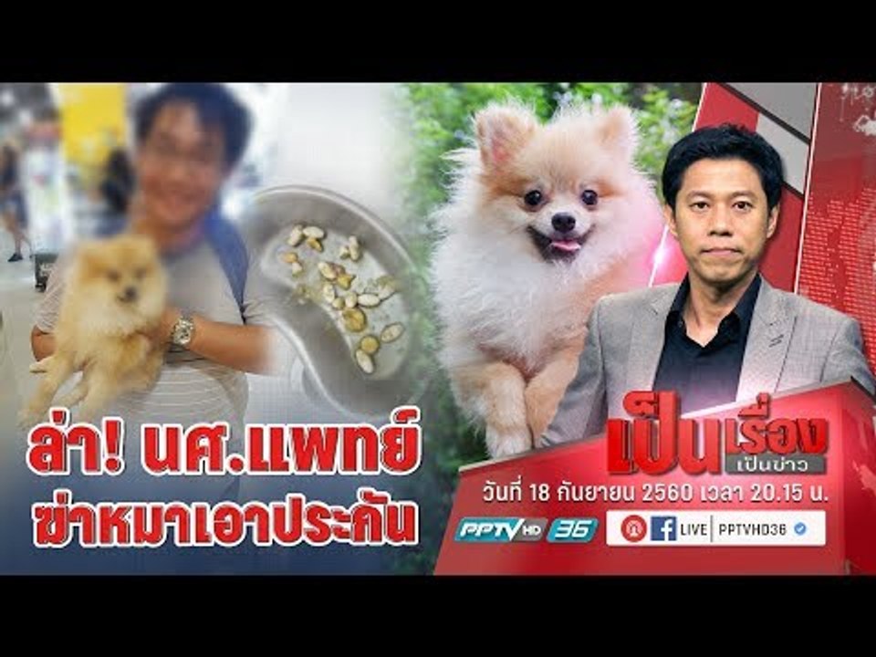 ยังไม่จบ! ตามล่า “นศ.แพทย์” วางยาหมา หวังเงินประกัน - เป็นเรื่องเป็นข่าว (2/3)