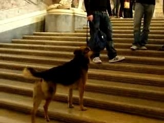 Sceme in relax, take it easy