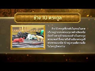 เกร็ดความรู้การพระราชพิธีพระบรมศพ ร.9 ตอน ช้าง 10 ตระกูล