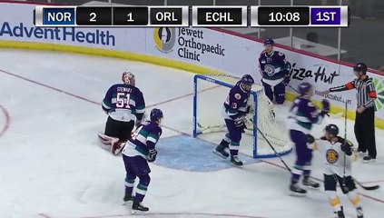 ECHL Norfolk Admirals 4 at Orlando Solar Bears 3