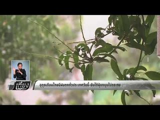 เกาะติดสถานการณ์น้ำท่วมชัยนาท - อยุธยา - เที่ยงทันข่าว